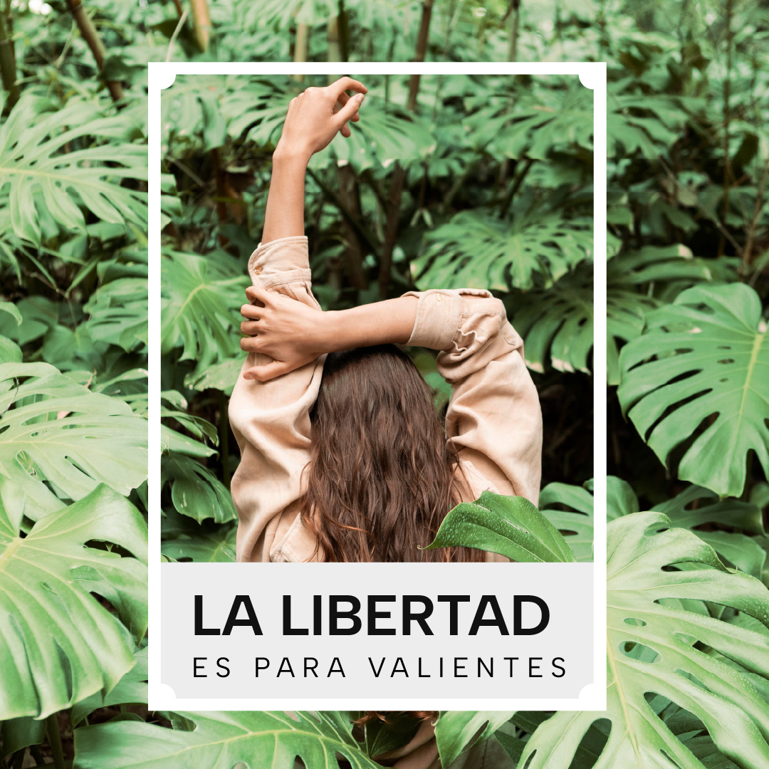 pauli-valores-01