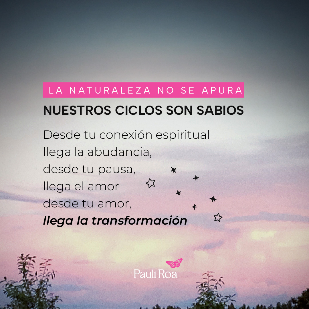 pauli-valores-07
